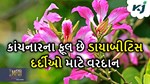 જો ઘર આંગણે કરશો કાંચનારના ફૂલની રોપણી તો મળશે ખતરનાક રોગોથી રક્ષણ