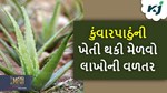 Aloe vera Farming: ઉનાળામાં કરો કુંવારપાઠુંની ખેતી, અઢળક ઉત્પાદન સાથે થશે લાખોની આવક