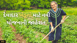 દેવાદાર ખેડૂતો માટે સુવર્ણ તક! નવી યોજના થકી વ્યાજ પર મળશે 100 ટકા  ડિસ્કાઉન્ટ