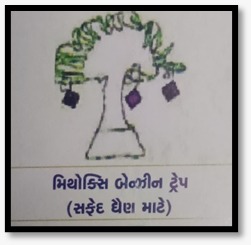 સંકલિત જીવાત વ્યવસ્થાપનમાં મહત્વપૂર્ણ પદ્ધતિ: ફેરોમોન ટ્રેપ