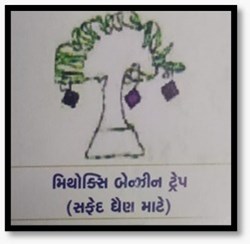 સંકલિત જીવાત વ્યવસ્થાપનમાં મહત્વપૂર્ણ પદ્ધતિ: ફેરોમોન ટ્રેપ