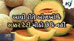 Muskmelon: જો સક્કર ટેટી આવી દેખાય તો સમજી જાઓ કે તે પાકેલી અને મીઠી નથી
