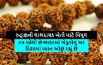  રુદ્રાક્ષની લાભદાયક ખેતી માટે વિપુલ તક રહેલી છેઃભારતમાં ખેડૂતોનું આ દિશામાં ધ્યાન ઓછું રહ્યું છે