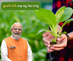 એક ખેડૂત બીજા ખેડૂતને શિખવાડશે કુદરતી ખેતી, વડા પ્રધાને નવી યોજનાને આપી મંજુરી