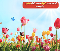 Flower Farming: ફૂલોની કાપણી અને કાપ્યા પછીની માવજત
