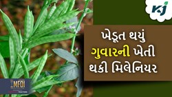 Success Story: બે વીધા જમીન પર કરી ગુવારની ખેતી અને થઈ ગયો લખપતિ 