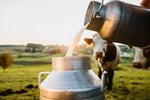 Milk MSP: કેન્દ્ર સરકારે ખેડૂતોને આપ્યો મોટો ઝટકો, MSPના દાયરામાં નહીં આવે દૂધ