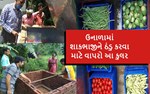 ઉનાળામાં શાકભાજીને ઠંડુ કરવા માટે વાપરો આ કુલર