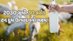 દૂધ ઉત્પાદનને 2030 સુધી 30 કરોડ ટન પહોંચાડવાનો લક્ષ્ય: પશુપાલન મંત્રી