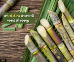 ગાયના છાણ અને શેરડીના છાલમાંથી બનશે ડીઝલ અને સીએનજી, ખેડૂતો પાસેથી ખરીદશે સરકાર