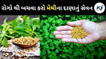 Fenugreek: મેથીના સેવનના છે આવા અનેક લાભ, અનેક રોગોથી બચાવે છે