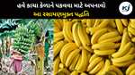 Chemical free method ફળો-શાકભાજી તૈયાર કરવાના ખેલ 