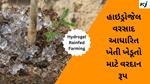 Hydrogel Rainfed Farming : હાઇડ્રોજેલનો ઉપયોગ કરીને ખેડૂતો ઓછા પાણીમાં પણ પાક ઉગાડી શકે !
