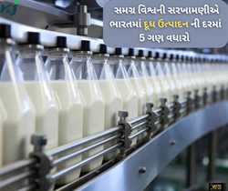 ભારતની અર્થવ્યવસ્થામાં ડેરી ક્ષેત્રનું મોટો ફાળો, 6 ટકાના દરથી વધી રહ્યું છે ઉત્પાદન 