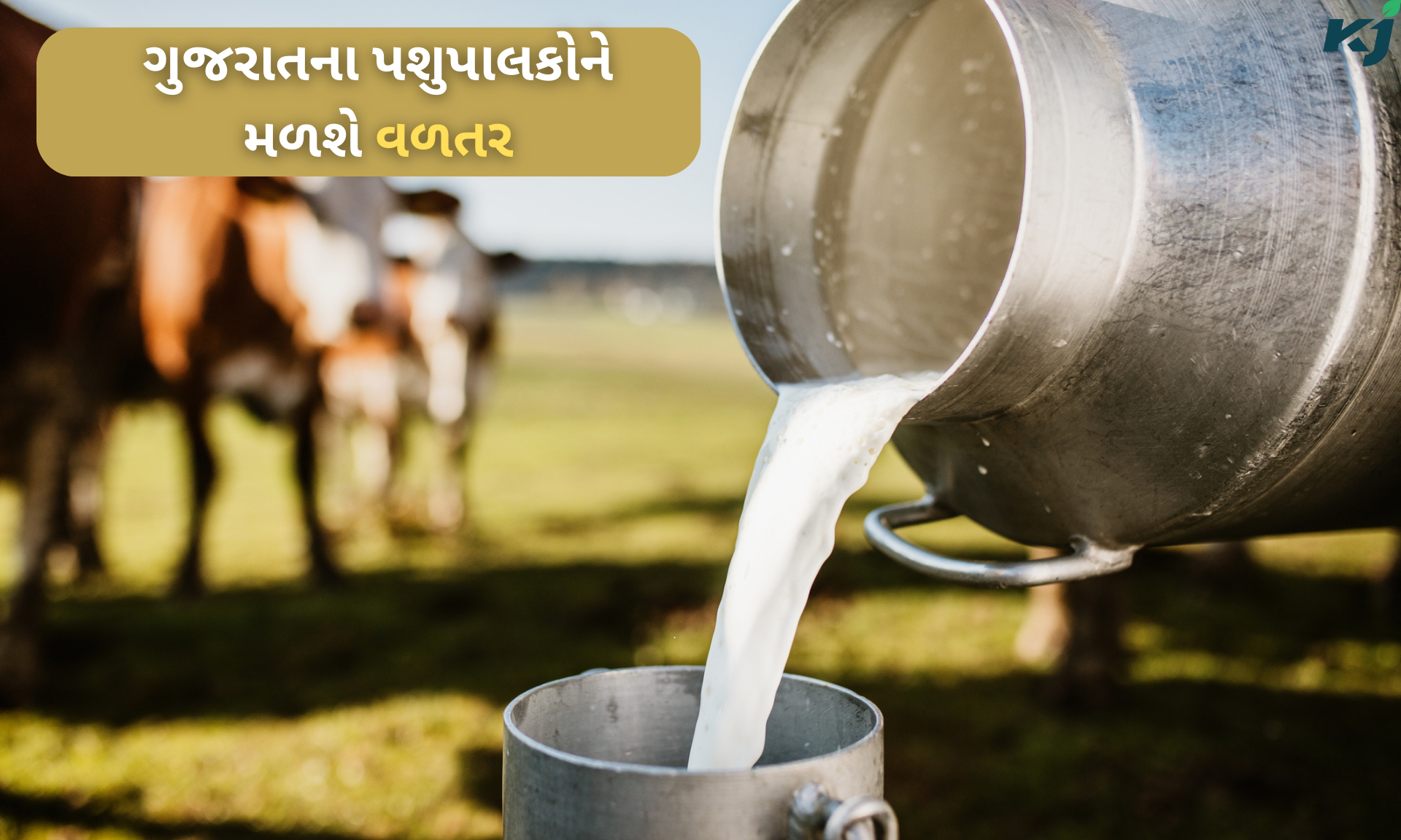 ફોટો-સોશિયલ મીડિયા