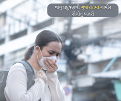 ગુજરાતમાં ઝડપથી વધી રહ્યું છે વાયુ પ્રદૂષણ, ગંભીર રોગોનું જોખમ ઘટાડવા કરો આવું  