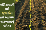 Vegetables Farming: જુલાઈમાં વાવો આ પાંચ પાક, અઢકળ ઉત્પાદન થકી થશે મોટી આવક