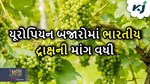 યુરોપિયન બજારોમાં ભારતીય દ્રાક્ષની માંગમાં બે ગણો વધારો