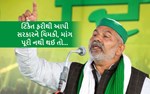 ટિકૈત ફરીથી આપી સરકારને ચિમકી, માંગ પૂરી નથી થઈ તો...