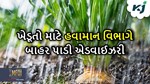 ગુજરાતના ખેડૂતોને હવામાન વિભાગની ચેતાવણી,પાકના સંરક્ષણ માટે બાહર પાડી એડવાઈઝરી