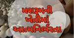 મશરૂમ દીદી: પોતે અઢળક કમાણી કરવાની સાથે મહિલાઓને પણ બનાવી આત્મનિર્ભર