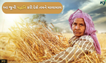 ખેતી કરવાનું ગમે છે પણ કરવા માટે ખેતર નથી, તો તમારા કામ આવશે આ જૂની પદ્ધતિ