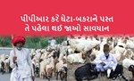 ઘેટા-બકરામા ફેલાતો ભયંકર રોગચાળો એટલે પી.પી.આર. : જાણો તેનાથી બચવાના ઉપાયો