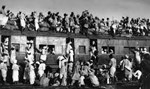 14 ઓગસ્ટ 1947 ની રાતનો એક દર્દનાક કિસ્સો, 10 લાખ લોકોએ ગુમાવ્યો હતો પોતાનો જીવ