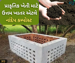 નાદેપ કંમ્પોસ્ટ – ખેતી માટે ઉત્તમ ખાતર ઉપરાંત એક લાભદાયક વ્યવસાય
