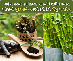 ફક્ત પાણીને નહી તમારા ચહેરાની સુંદરતાને પણ બમણો કરી નાખે છે બેંબુ ચારકોલ એટલે કે બ્લેક ડાયમંડ 