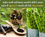ફક્ત પાણીને નહી તમારા ચહેરાની સુંદરતાને પણ બમણો કરી નાખે છે બેંબુ ચારકોલ એટલે કે બ્લેક ડાયમંડ