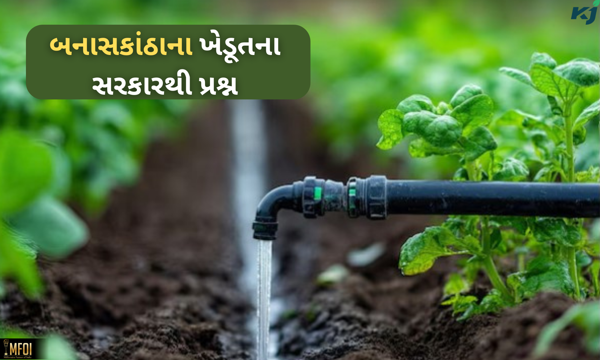 ફોટો-સોશિયલ મીડિયા