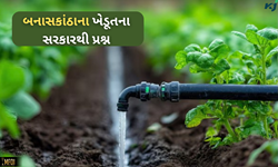 ખેડૂત કર્યો સરકારથી પ્રશ્ન, જો રાજસ્થાનની સરકાર કરી શકે છે તો ગુજરાતની કેમ નથી? 