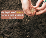 Gem ના પોર્ટલ પર થશે ગુણવત્તાયુક્ત બિયારણની ખરીદી તેમજ વેચાણ, 8 હજાર પાકોના બિયારણ કરવામાં આવ્યો લોન્ચ