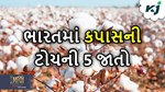 Cotton: આ છે કપાસની પાંચ સુધરાયેલી જાતો, જે એકર દીઠ 25 ક્વિન્ટલ સુધીનું ઉત્પાદન આપે છે