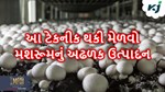 Mushroom Farming: આ ત્રણ ટેકનીકથી કરો મશરૂમની ખેતી થશે મોટી આવક
