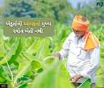 સર્વેમાં ચોંકવનારી માહિતી આવી સામે, ખેડૂતોની આવકમાં વઘારો પણ તેના પાછળ ખેતી નથી