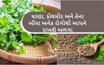 જાણો કોથમીરના આ 7 ચમત્કારી ફાયદાઓ કે જે શરીરને સ્વસ્થ અને મસ્ત રાખે છે