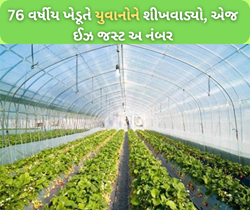 યુવાનો માટે પ્રેરણા બનીને ઉભરી આવ્યા હંસરાજ, 76 વર્ષની વયમાં બનીને દેખાડ્યો પ્રગતિશીલ ખેડૂત 