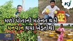 Top Five Richest Farmer: પોતાની મહેનત થકી આ ખેડૂતો થયા ધનવાન