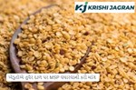 ખેડૂતોએ તુવેર દાળ પર MSP વધારવાની કરી માંગ 