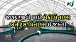 જળચરઉછેર (એક્વાકલ્ચર) માં ખનિજોનું મહત્વ