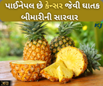 Health and Lifestyle: કેન્સરથી રક્ષણ આપે છે પાઈનેપલનું સેવન, છે બીજા પણ ઘણા ફાયદા