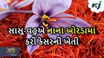 સાસુ-વહુએ ઓરડામાં કેસરની ખેતી કરીને સૌને ચોંકાવી દીધા,આજે ધરાવે છે લાખોની આવક