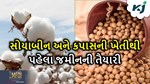 ખરીફ સીઝનનું સૌથી મહત્વપૂર્ણ પાક કપાસ અને સોયાબીનની વાવણી પહેલા આ કામ ચોક્કસ કરજો