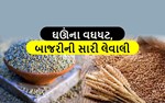 ઘઉંના બજાર ભાવમાં વઘધટ, આગામી દિવસોમાં બાજરીની સારી લેવાલી