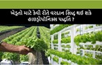 હાઇડ્રોપૉનિક્સ : પરંપરાથી પર એક એવી કૃષિ પદ્ધતિ કે કરાવે અનેક ગણો ફાયદો