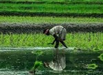 FPO - એકમેકનો સાથ ખેડુતોનો વિકાસ
