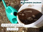 ઘરે જ બનાવો 3 અનોખા ખાતર, આ છે સરળ રીત