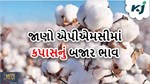 Market Price: જાણો જુદા-જુદા એપીએમસીમાં 7 ફેબ્રુઆરીના બજાર ભાવ વિશે